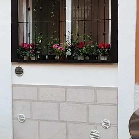 Garruba 101 Pensiune